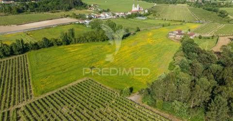 Duas quintas, com exploração agrícola e turismo rural;