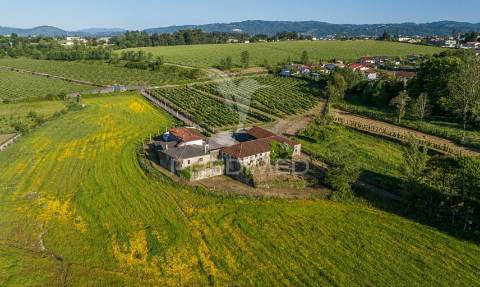 Duas quintas, com exploração agrícola e turismo rural;