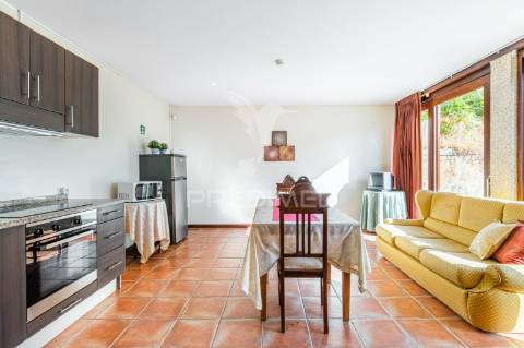 Duas quintas, com exploração agrícola e turismo rural;