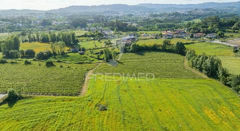 Duas quintas, com exploração agrícola e turismo rural;