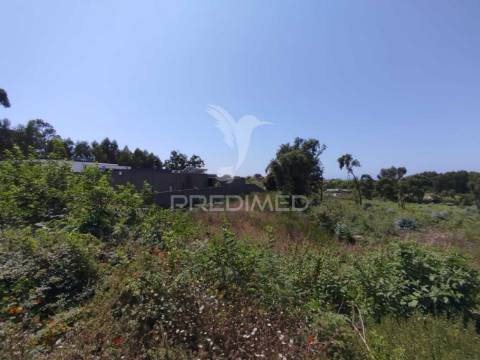 Terreno em canidelo
