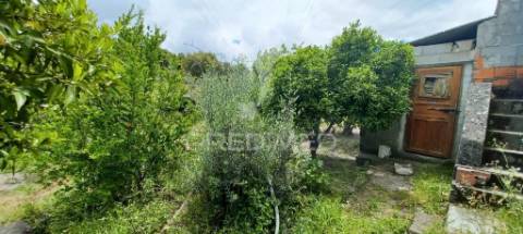 Quintinha em zona tranquila