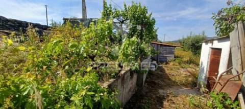 Quintinha em zona tranquila