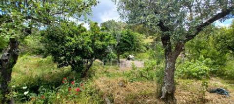 Quintinha em zona tranquila