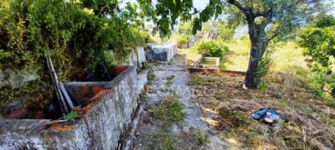 Quintinha em zona tranquila