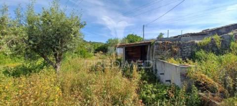 Quintinha em zona tranquila