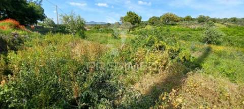 Quintinha em zona tranquila