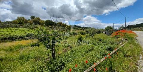 Quintinha em zona tranquila