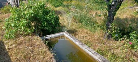 Quintinha em zona tranquila