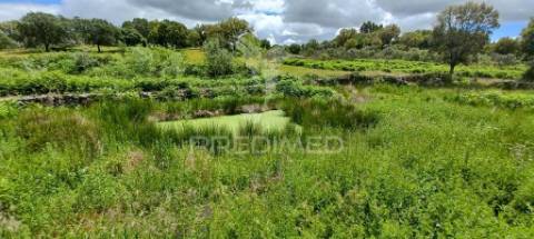 Quintinha em zona tranquila