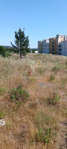 Lote para construção