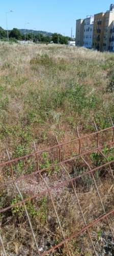 Lote para construção