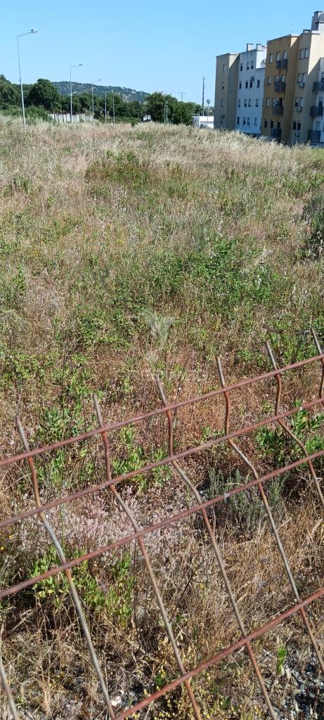 Lote para construção