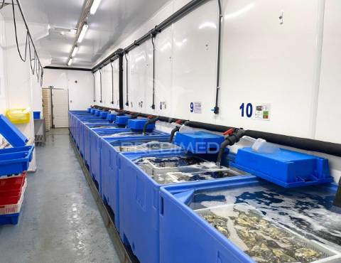 Armazém e loja comercial (comércio de marisco)