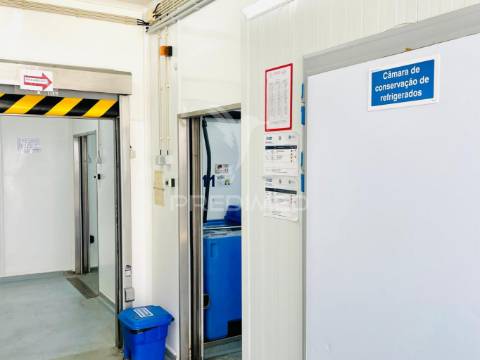 Armazém e loja comercial (comércio de marisco)