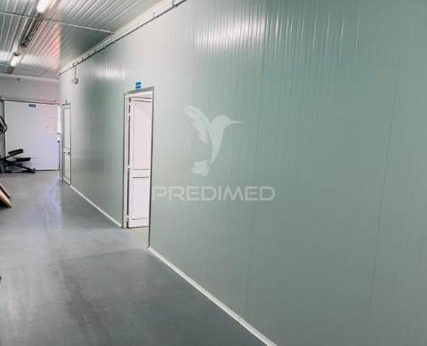 Armazém e loja comercial (comércio de marisco)