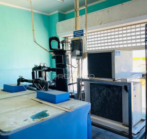 Armazém e loja comercial (comércio de marisco)