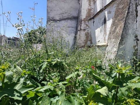 Oportunidade única no centro de campo maior – moradia para recuperação com grande potencial de negócio