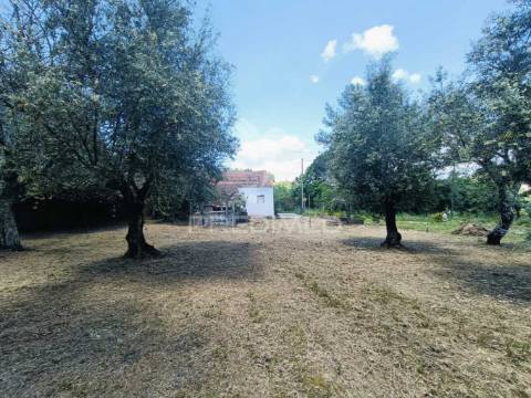 Moradia para recuperar.