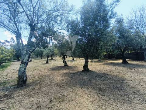 Moradia para recuperar.