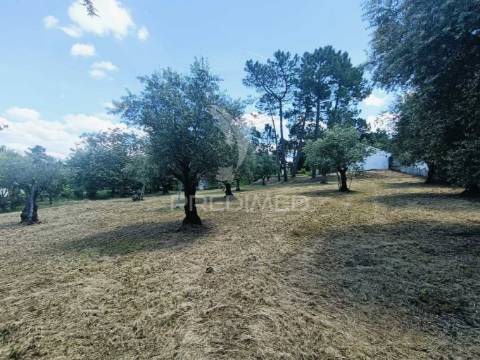 Moradia para recuperar.