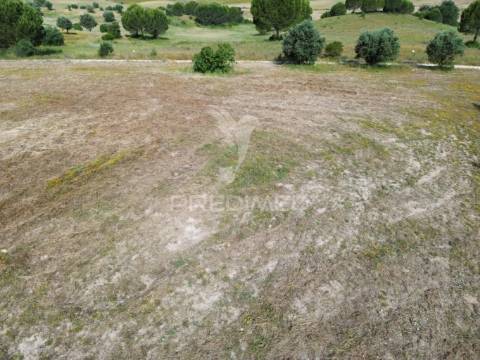 Terreno rústico - parceiros de igreja, torres novas