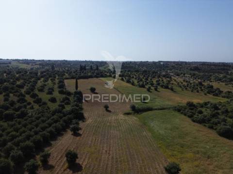 Terreno rústico - parceiros de igreja, torres novas