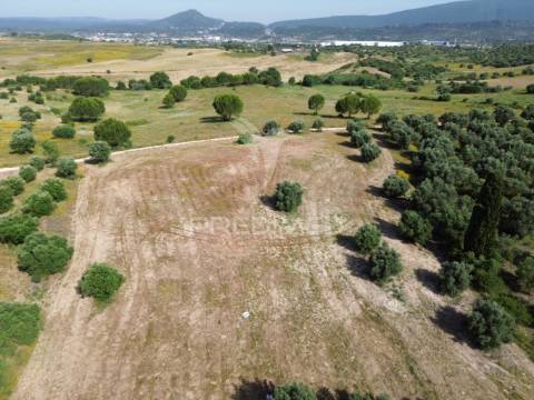 Terreno rústico - parceiros de igreja, torres novas