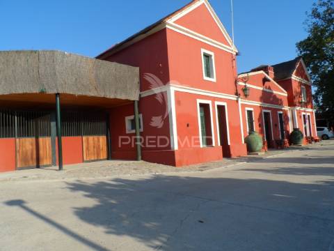 Infraestrutura equestre de excelência com potencial habitacional