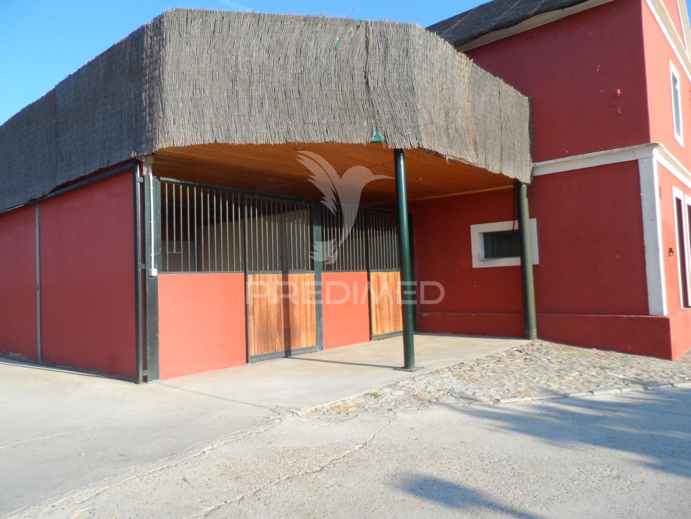 Infraestrutura equestre de excelência com potencial habitacional
