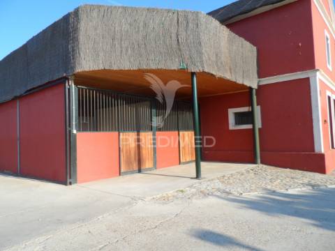 Infraestrutura equestre de excelência com potencial habitacional