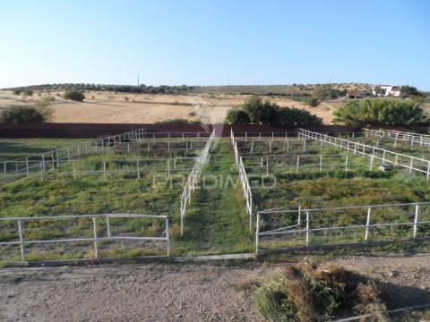 Infraestrutura equestre de excelência com potencial habitacional