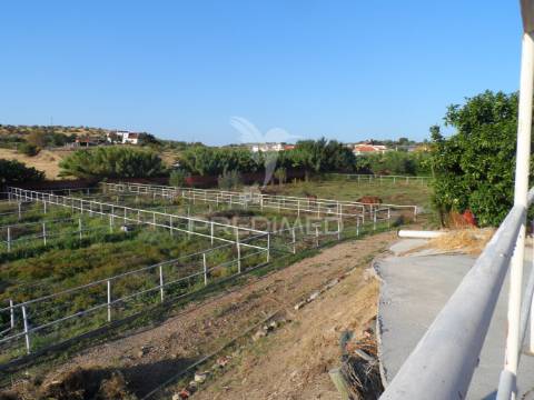 Infraestrutura equestre de excelência com potencial habitacional