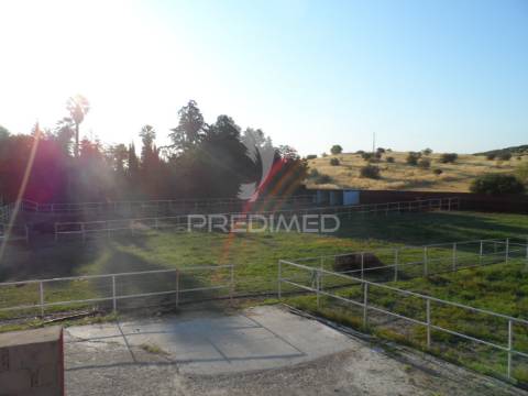 Infraestrutura equestre de excelência com potencial habitacional