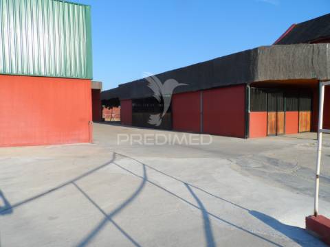 Infraestrutura equestre de excelência com potencial habitacional