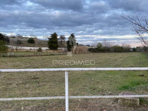 Infraestrutura equestre de excelência com potencial habitacional