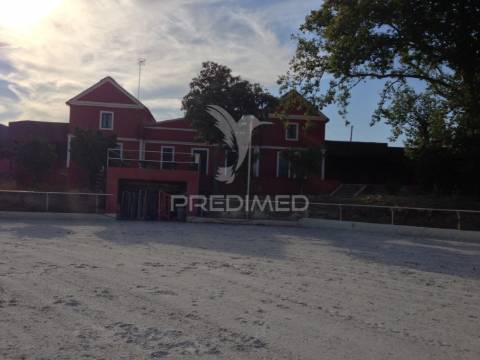 Infraestrutura equestre de excelência com potencial habitacional