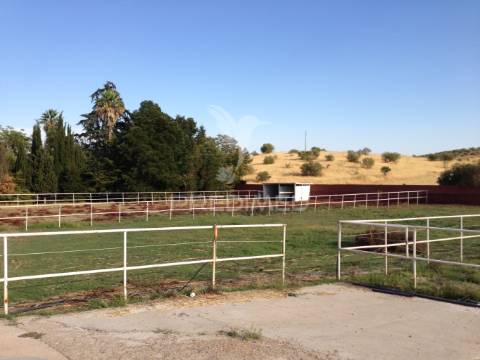 Infraestrutura equestre de excelência com potencial habitacional