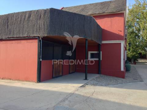 Infraestrutura equestre de excelência com potencial habitacional