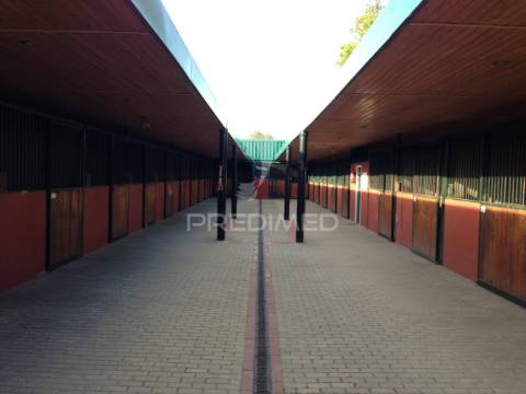 Infraestrutura equestre de excelência com potencial habitacional