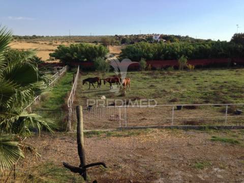 Infraestrutura equestre de excelência com potencial habitacional