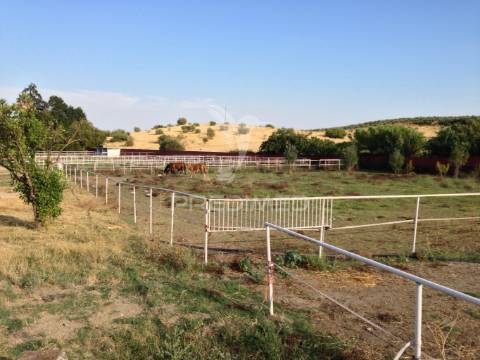 Infraestrutura equestre de excelência com potencial habitacional