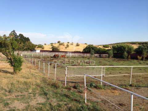 Infraestrutura equestre de excelência com potencial habitacional
