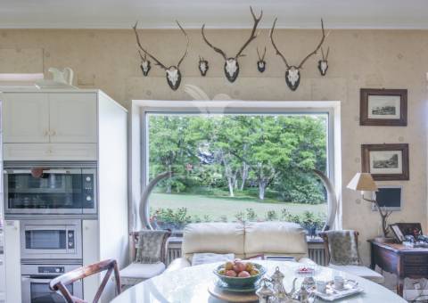 Palácio histórico com jardim botânico e instalações hípicas — elvas, portugal