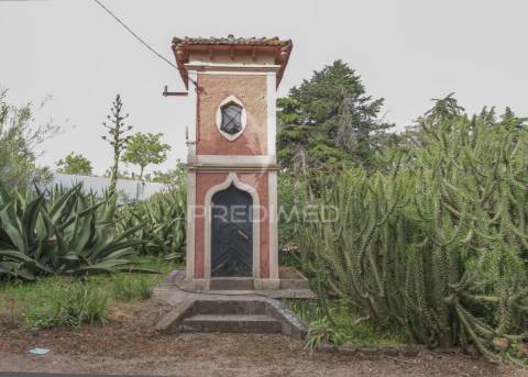 Palácio histórico com jardim botânico e instalações hípicas — elvas, portugal