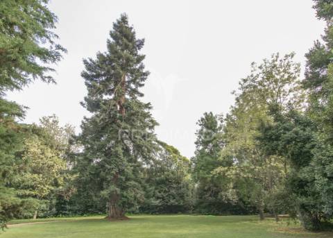 Palácio histórico com jardim botânico e instalações hípicas — elvas, portugal