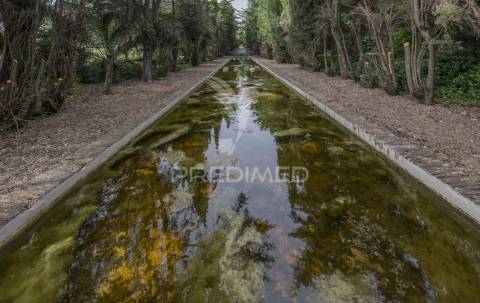 Palácio histórico com jardim botânico e instalações hípicas — elvas, portugal