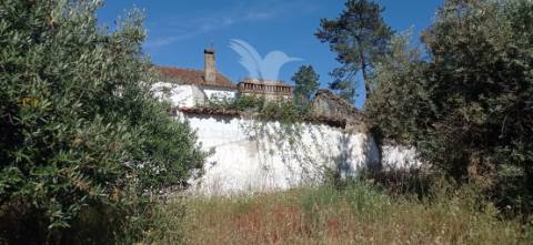 Ruína c/ espaço exterior, em montargil.