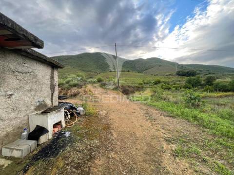Quinta agrícola com 2,3 hectares em murça | vila nova de foz côa
