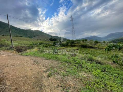Quinta agrícola com 2,3 hectares em murça | vila nova de foz côa